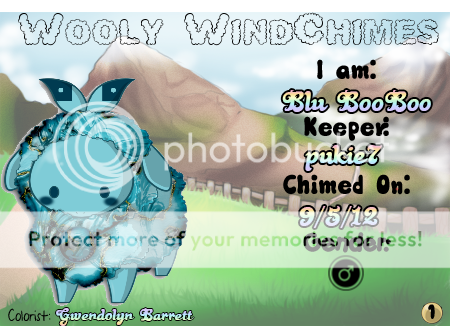 User Image